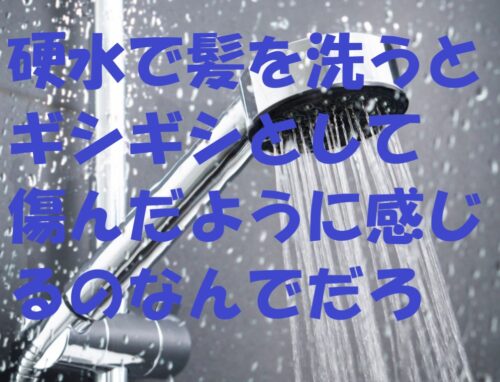 髪がギシギシで傷んじゃった？それって硬水が原因かもですね