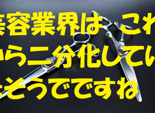 美容業界の将来は二分化しそうですね