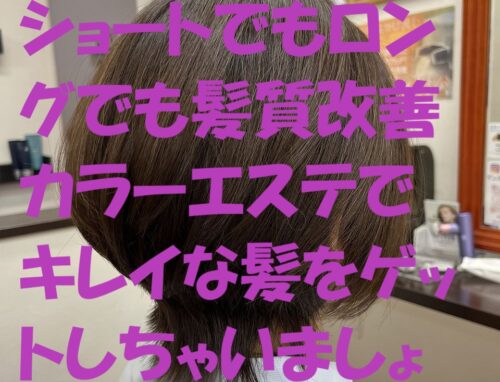 ショートでもロングでも髪質改善カラーエステでキレイな髪を
