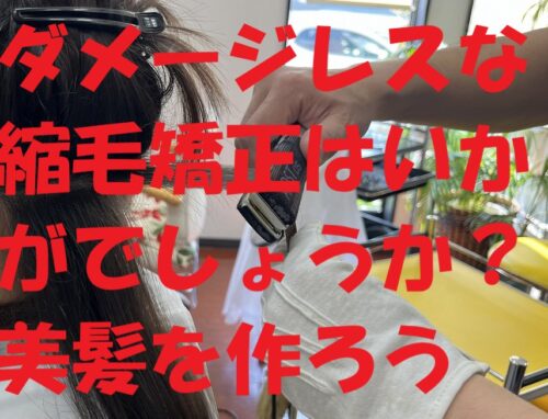 時期的に縮毛矯正のお仕事が増えてきました(^^)