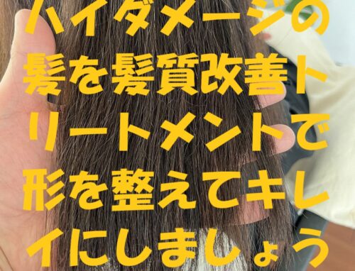 他店でハイダメージになった髪を髪質改善カラーでツヤ髪に