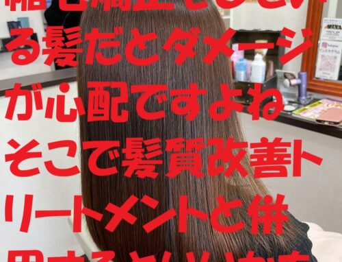 カラーと髪質改善でツヤ髪に！縮毛矯正毛でも安心の施術例