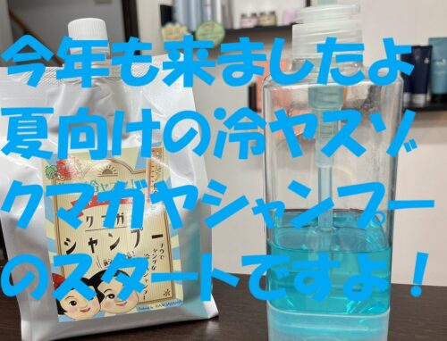 【2025年版スタート】冷ヤスゾ！クマガヤシャンプーで暑い夏をスッキリ快適に【本庄市美容室】