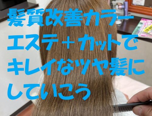 髪質改善カラーエステ＋カットでツヤ髪に