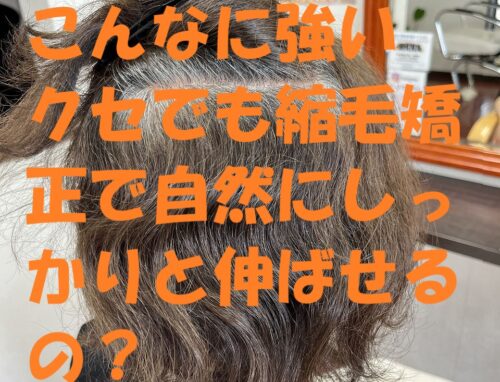 強いクセ毛でも自然に仕上がる縮毛矯正ボブ