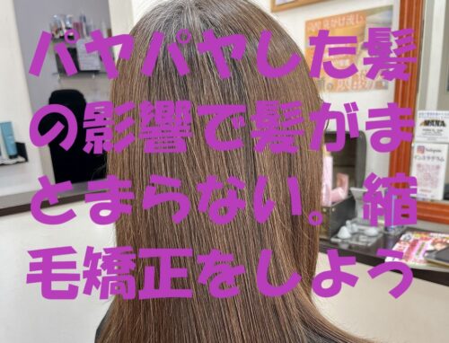 パヤパヤした髪が原因で広がってしまう髪に縮毛矯正を