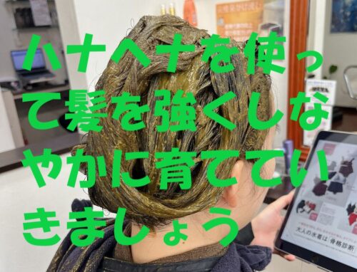 髪本来の美しさを引き出す！天然ハナヘナでハリ・コシUP【本庄市】