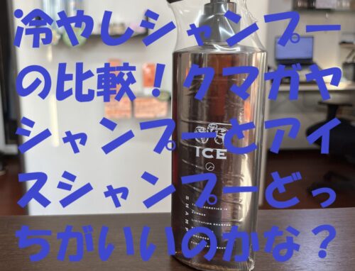 【冷やしシャンプー比較】クマガヤシャンプーとアイスシャンプーをプロが徹底レビュー！【本庄市】