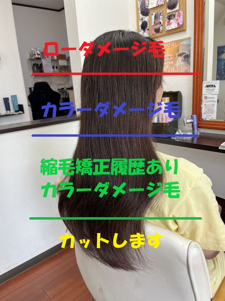 ダメージ別ゾーン解説画像