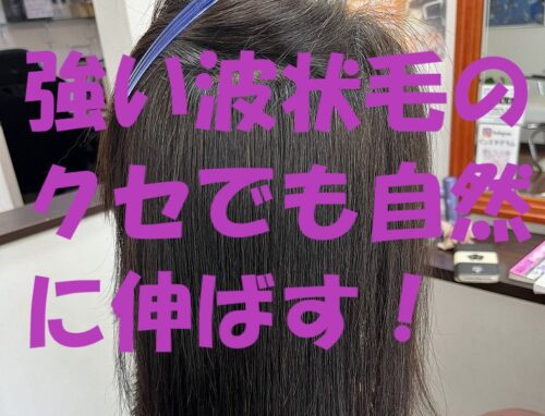 強いクセでも自然に伸ばす！波状毛の縮毛矯正施術例｜本庄市の美容室アラック
