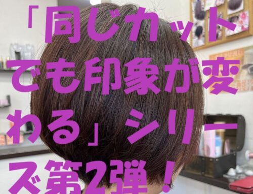 前下がりのリバースボブでやわらかな丸みを演出