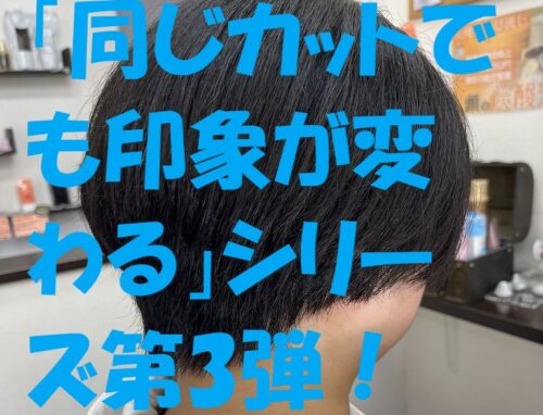 ハンサムボブでキリッとクールに！スッキリ感と扱いやすさが魅力
