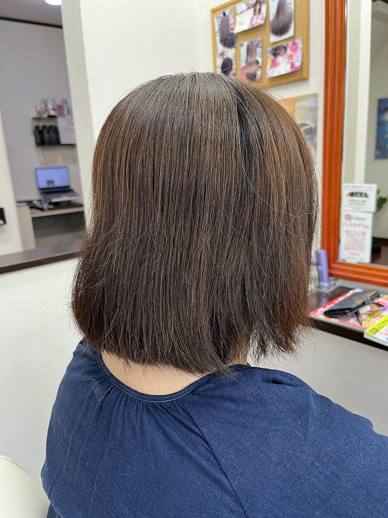 ミニボブカット前の写真