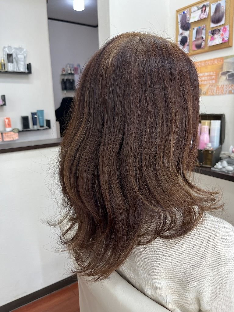 セルフカラービフォー全体