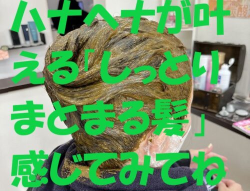 乾かすだけでまとまる髪へ｜ハナヘナで叶う自然なツヤと手触り