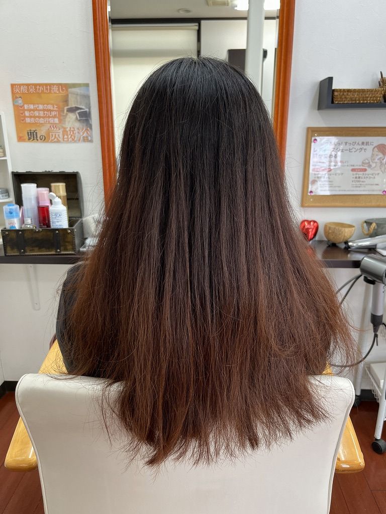 施術前:後ろから。ダメージは少ないが毛先が毛羽立ちやすく広がって見える