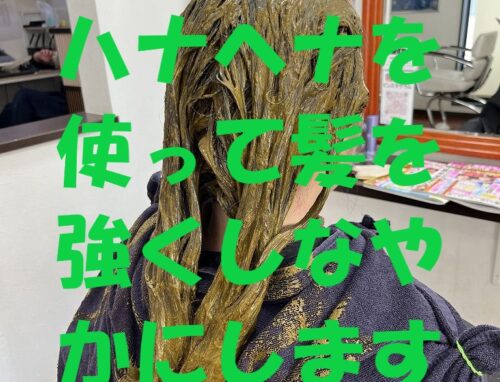 ダメージや広がりでまとまらない髪に｜ハナヘナで毛髪補強【施術例あり】