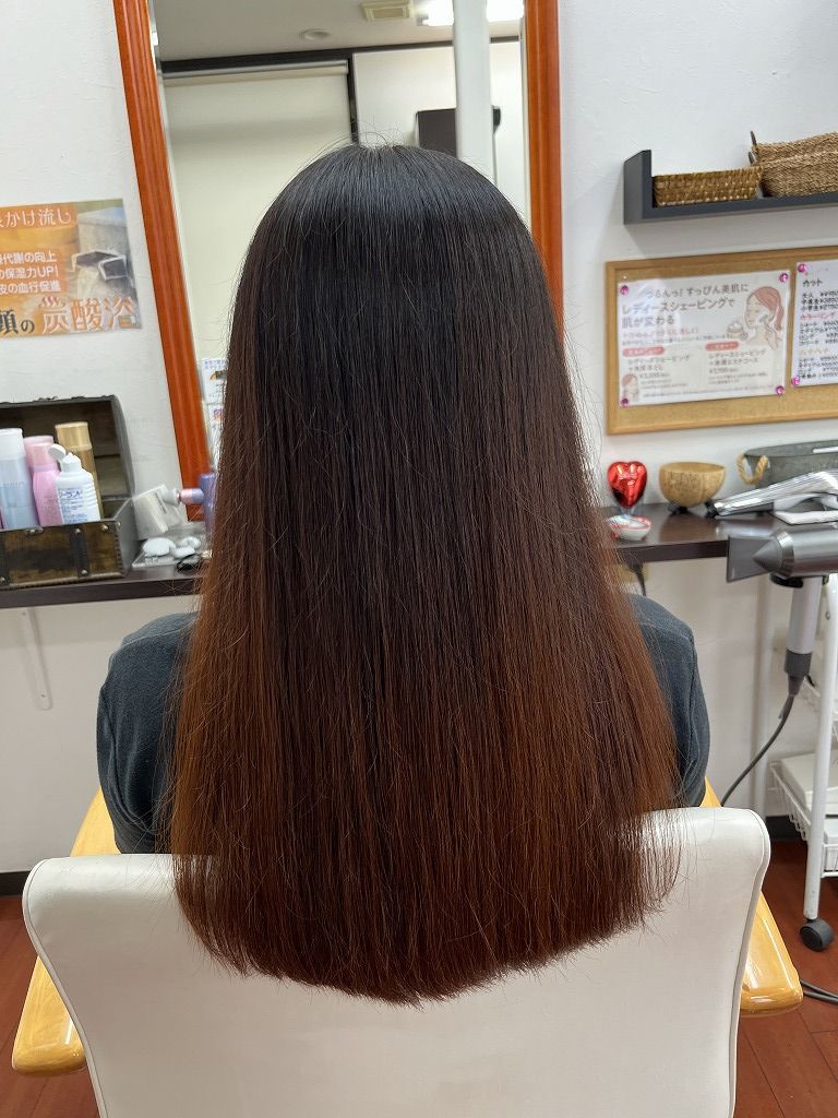 仕上がり:後ろから。毛羽立ちが収まり、面が整ってツヤ髪に