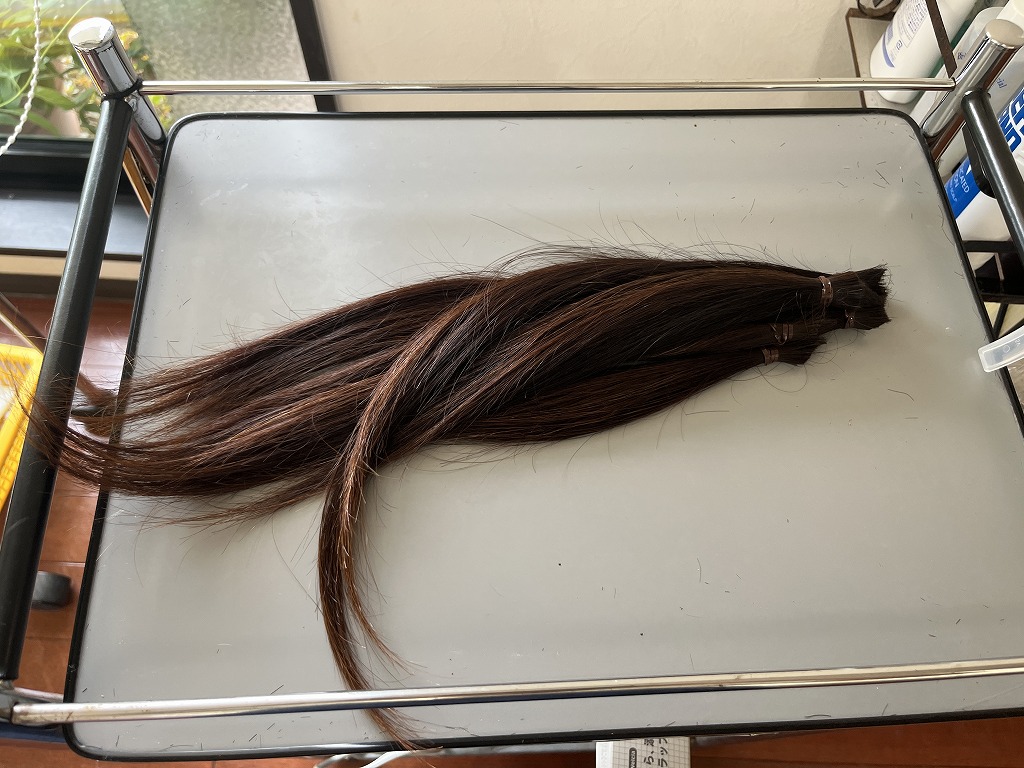 カットしたヘアドネーション用の毛束 40cm