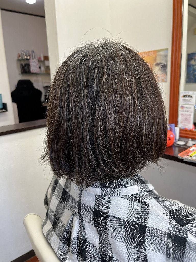 ビフォー　2か月前にカラー済み