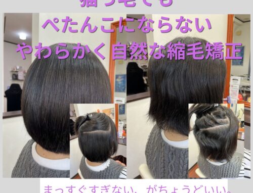 クセの強い猫っ毛でも自然にまとまる！ぺたんこにならない縮毛矯正の秘密