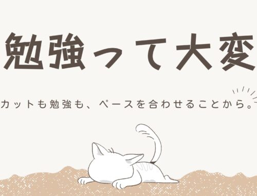 テスト前に娘と一次関数を解きながら気づいた「伝え方」のコツ