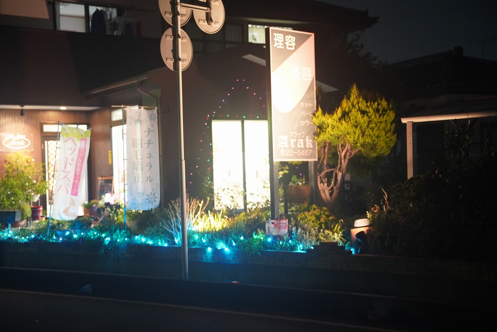 外観のイルミネーション(全体)