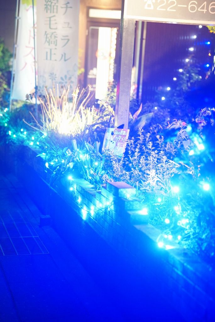 ブルーのイルミネーション(寄り)