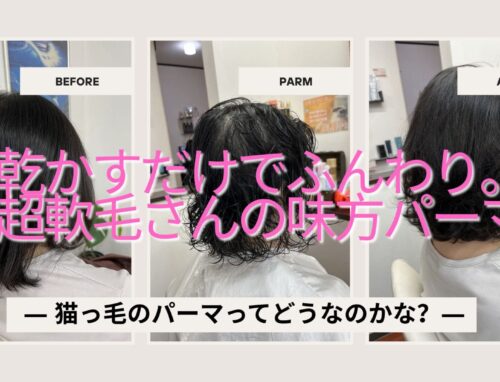 超軟毛でもふんわり。通常のパーマで“乾かすだけ”の柔らかボリューム