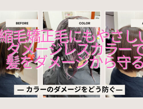 縮毛矯正をしている髪にやさしく色を入れるカラー施術
