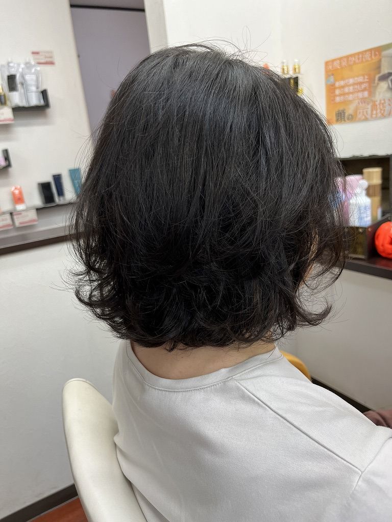 乾かしただけの仕上がり。超軟毛でもふんわりボリュームと柔らかい動き