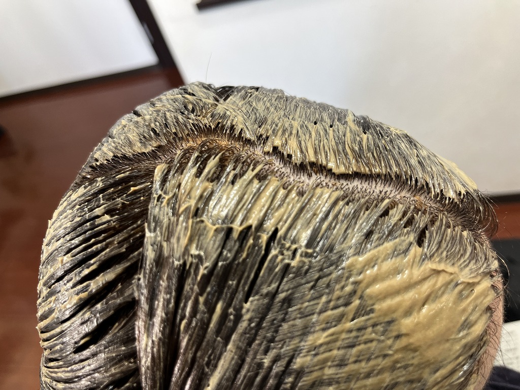 ゼロテク塗布 地肌につけない白髪染め