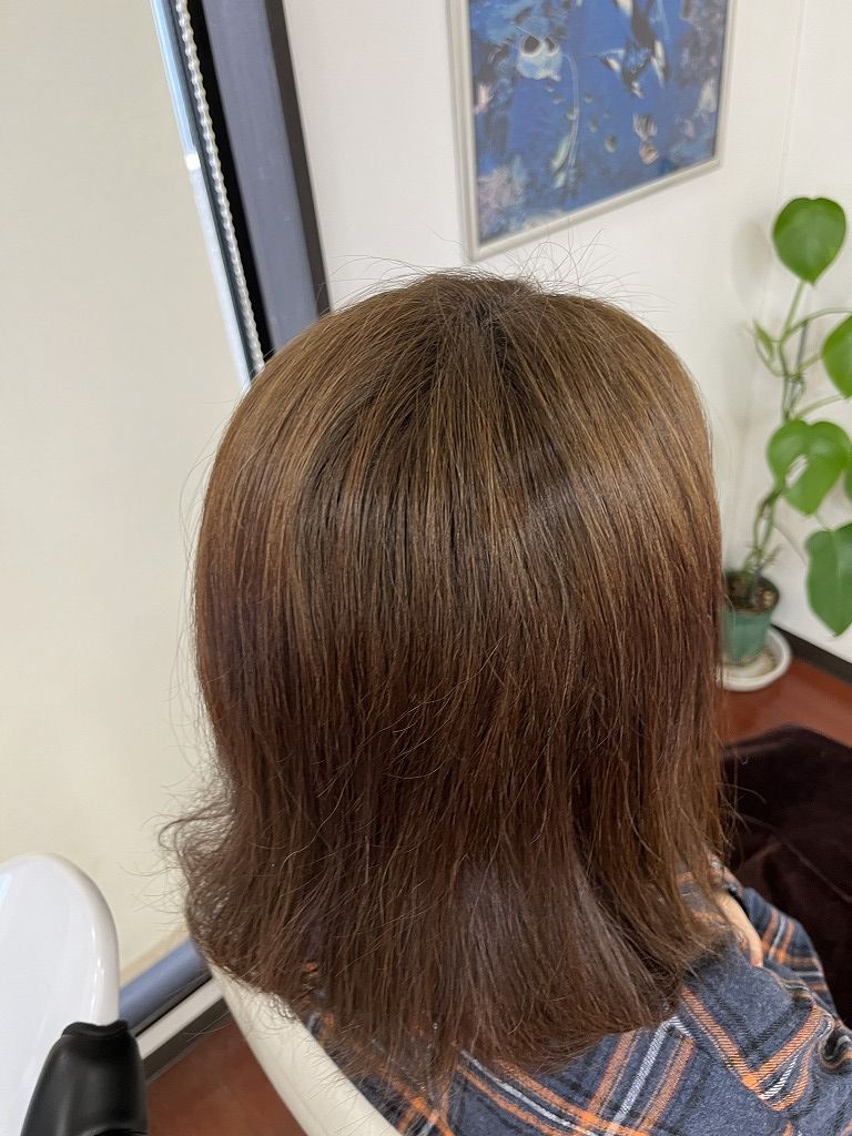 ビフォー:根元の明るさと白髪の存在