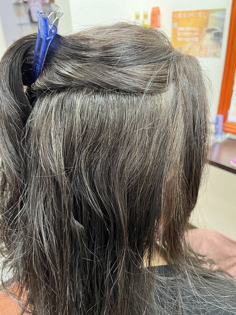 中間部分の波状毛の状態