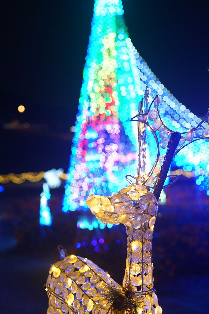 イルミネーションで光るトナカイと背景のカラフルなツリーの玉ボケ