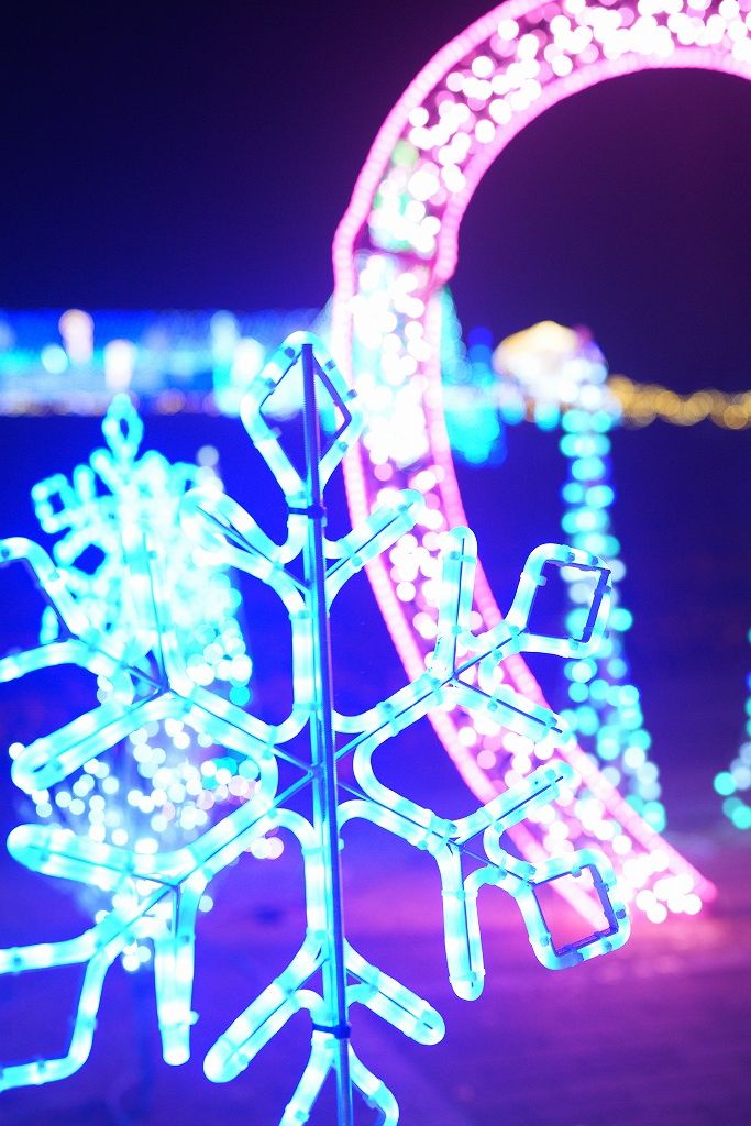 青い雪の結晶イルミネーションとピンク色の光のアーチ