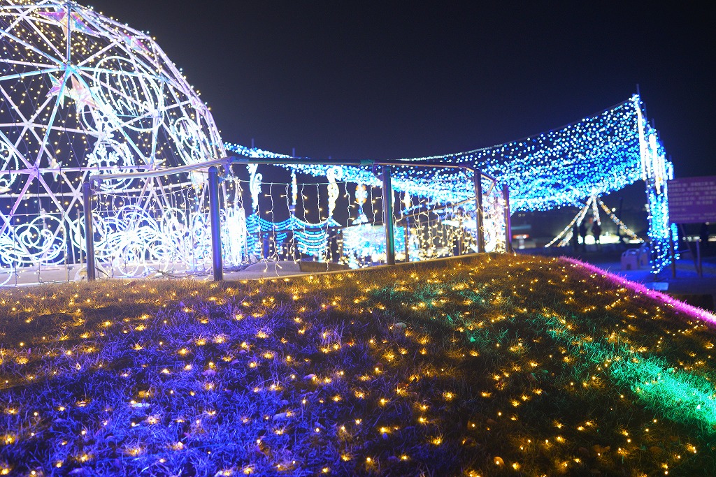 ドーム横の芝生一面に広がるイルミネーション