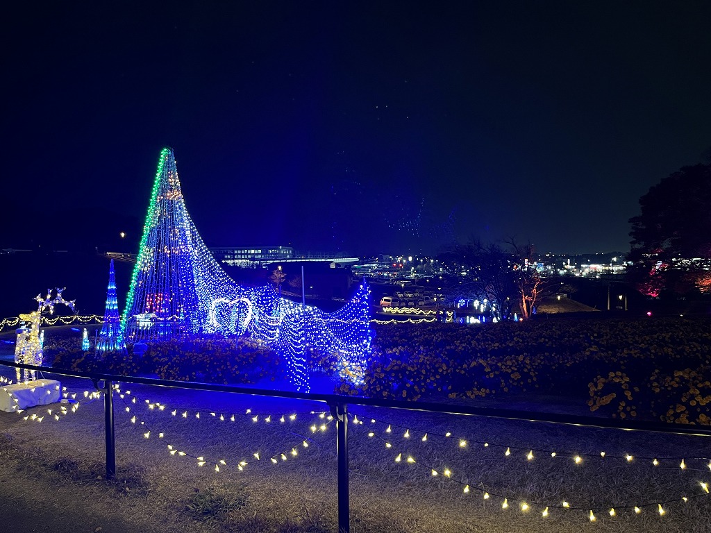 マリーゴールドの丘公園を見下ろしたイルミネーション全景