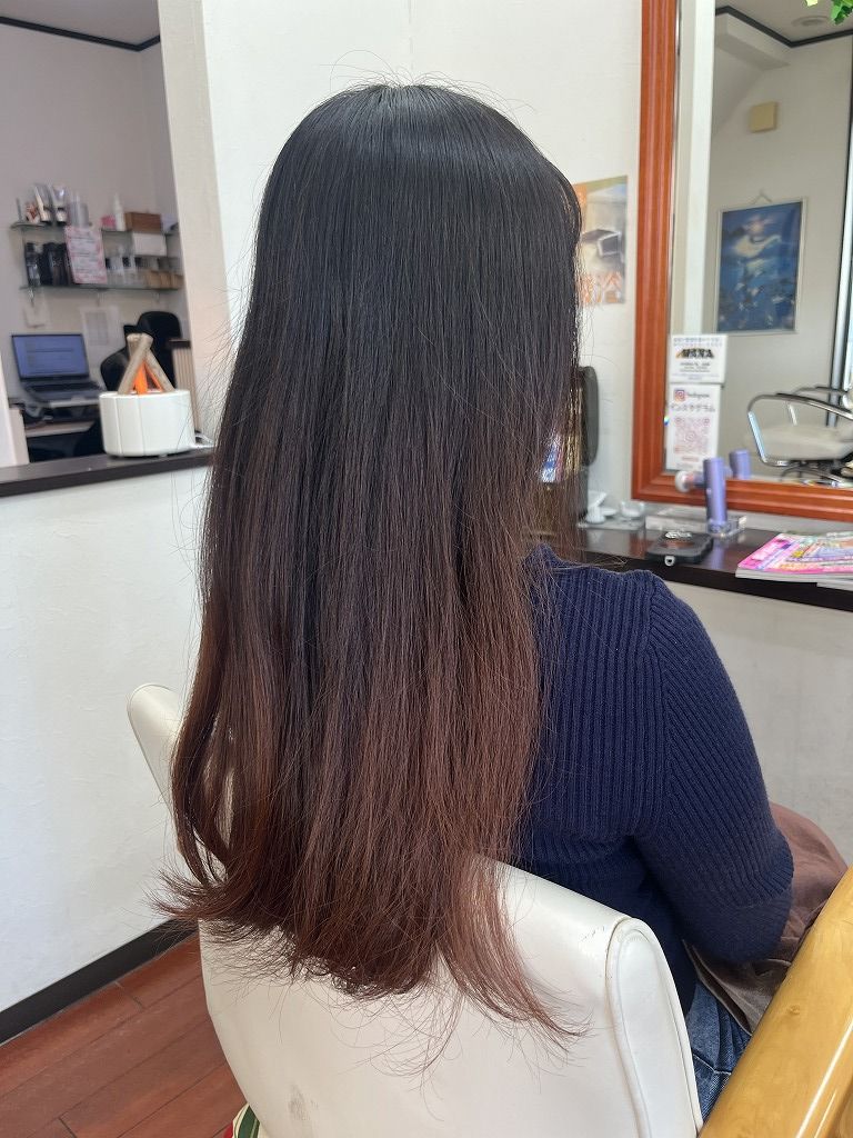 ビフォー:10cmカットしてハナヘナナチュラルを全体に塗布して髪を補強する施術前