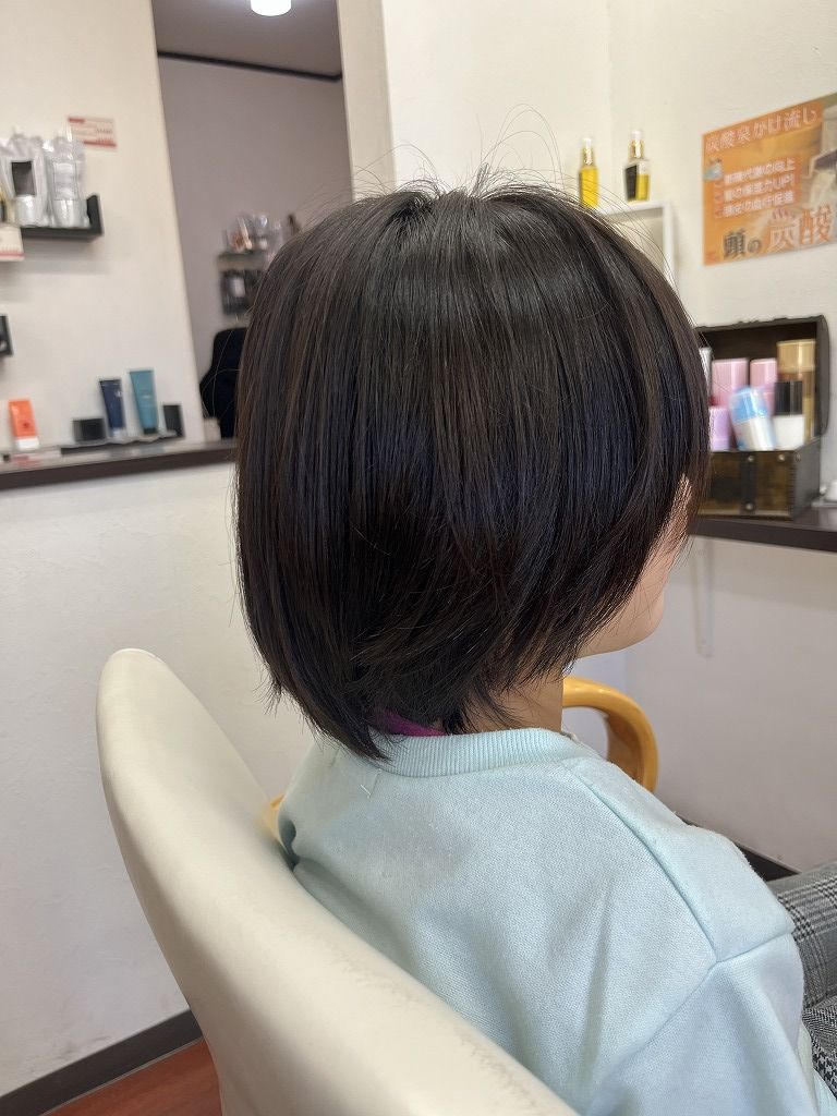 娘ちゃんカットのビフォー（前回と同じスタイル希望）
