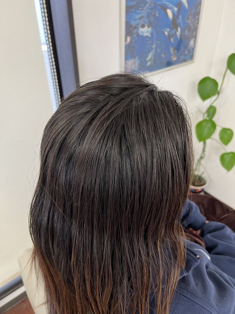 【ビフォー】根元付近の状態｜1年分伸びた根元と既染部の明度差