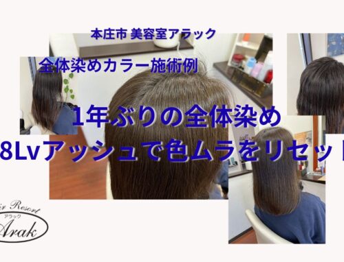 全体染めで髪色を整える｜8Lvアッシュで自然なツヤ感に