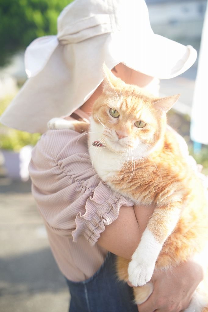 HairResort Arakの猫 ドコ（DOKO）