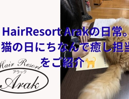 2月22日は猫の日。HairResort Arakの“癒し担当”をご紹介します