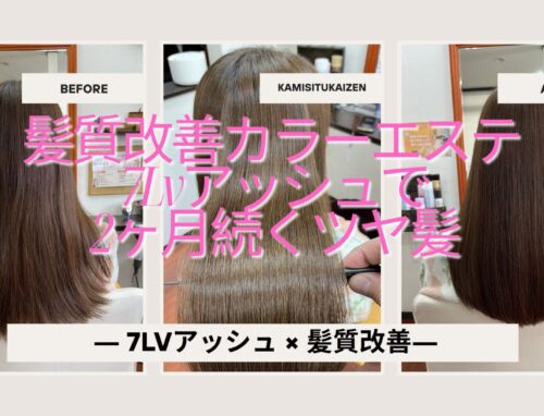 【本庄市の髪質改善カラーエステ】2ヶ月経ってもキレイが続く。7Lvアッシュで“落ち着いた透明感”とツヤ髪へ