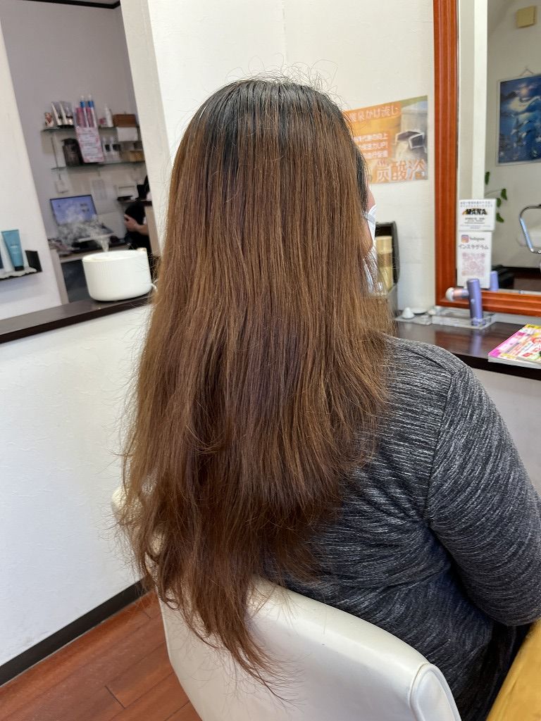 ビフォー全体:半年ぶりの来店で毛先の乾燥とまとまりが気になる状態