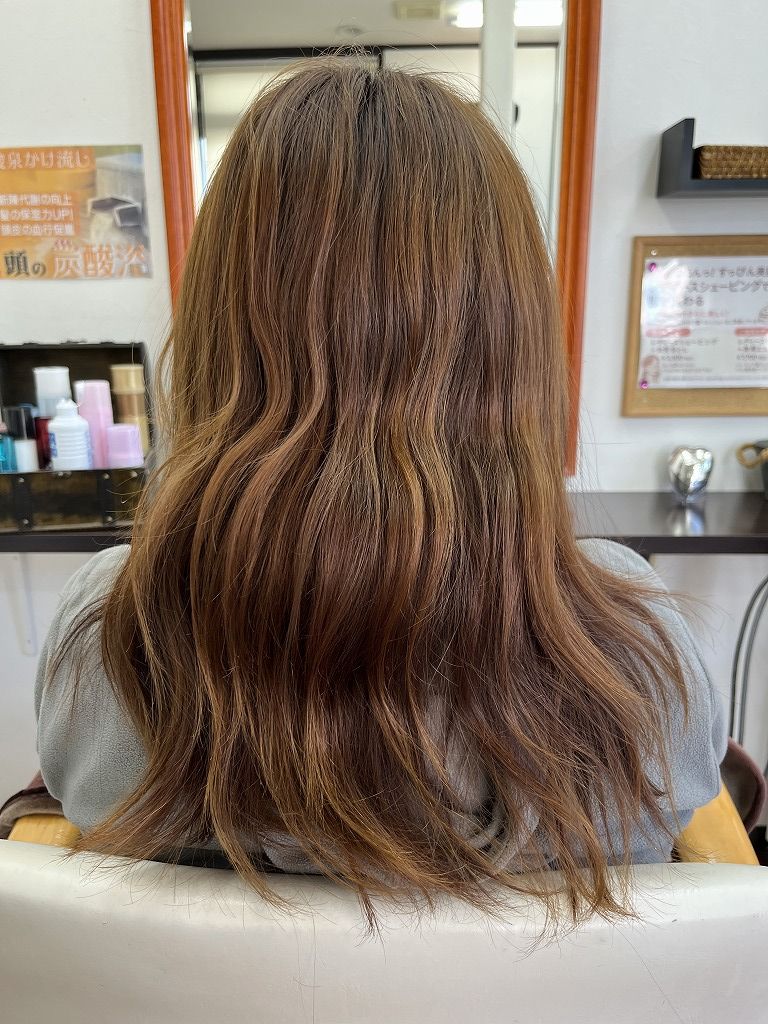 カラーカット施術前のミディアムヘアの後ろ姿その2