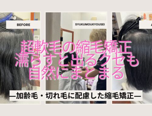 超軟毛・加齢毛・切れ毛がある髪への縮毛矯正｜濡らすと強く出るクセをやさしく整える