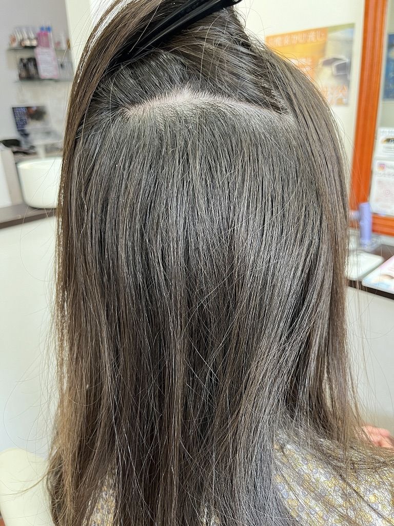 縮毛矯正施術前の根元の状態