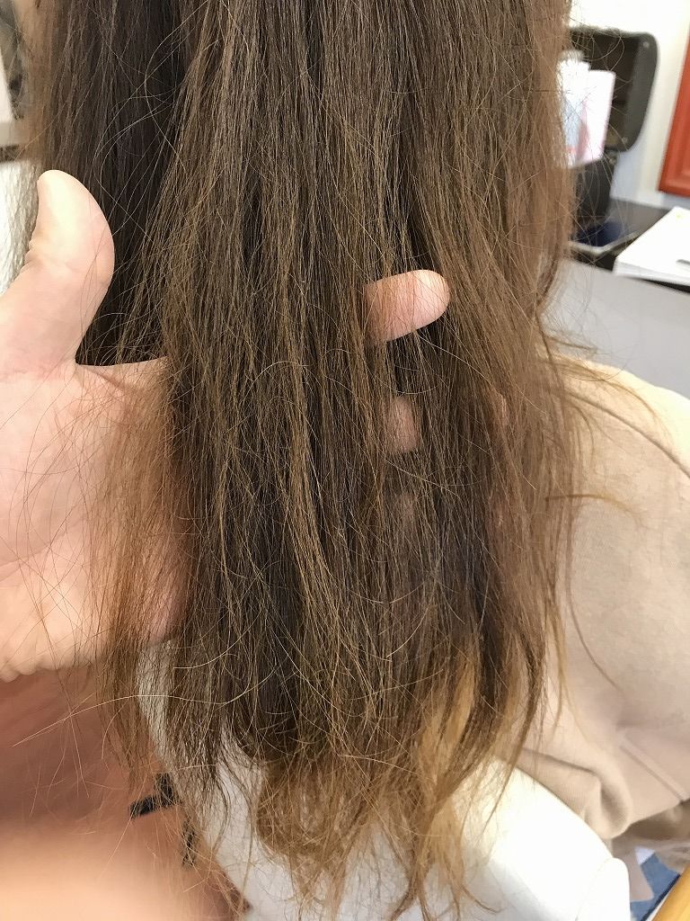 毛先がハイダメージになっている状態の髪